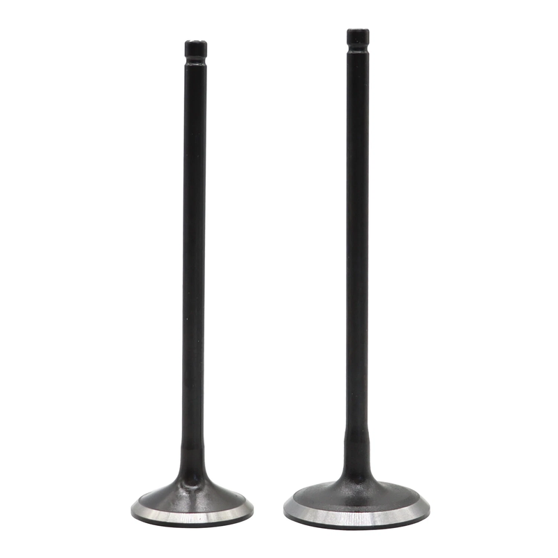 DURAFORCE 24pcs Intake&Exhaust Valves Fit For 2002-2010 Honda Odyssey 3.5L Accord 3.0L