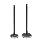 DURAFORCE 24pcs Intake&Exhaust Valves Fit For 2002-2010 Honda Odyssey 3.5L Accord 3.0L