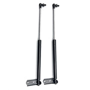 DURAFORCE New 2PCS Front Hood Lift Support Shock Strut Fit For Lexus RX300 1999 2000-2003