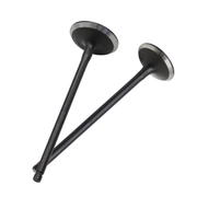 DURAFORCE 24pcs Intake&Exhaust Valves Fit For 2002-2010 Honda Odyssey 3.5L Accord 3.0L