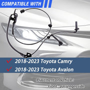 DURAFORCE 8954206081 ABS Wheel Speed Sensor Right For Toyota Avalon Camry 2018-2022