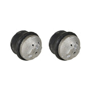 DURAFORCE New Oil Filled Hydraulic Engine Motor Mount Pair LH RH sides For Mercedes Benz