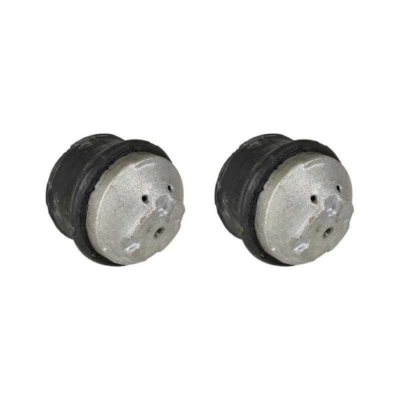 DURAFORCE New Oil Filled Hydraulic Engine Motor Mount Pair LH RH sides For Mercedes Benz