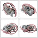 DURAFORCE Carburetor for Yamaha WR250 WR250F YZ250F Carb 2001 2002 2003 2004 2005-2013