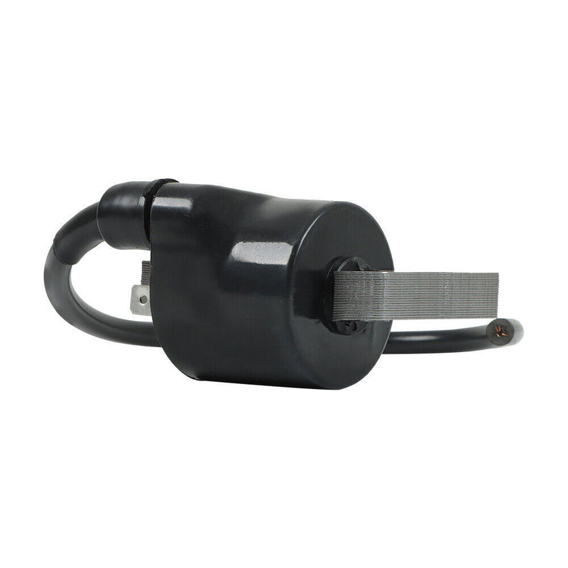 DURAFORCE Ignition Coil For Kawasaki Engine 21121-2070 21119-2161 AM109209 FC420V FC400V