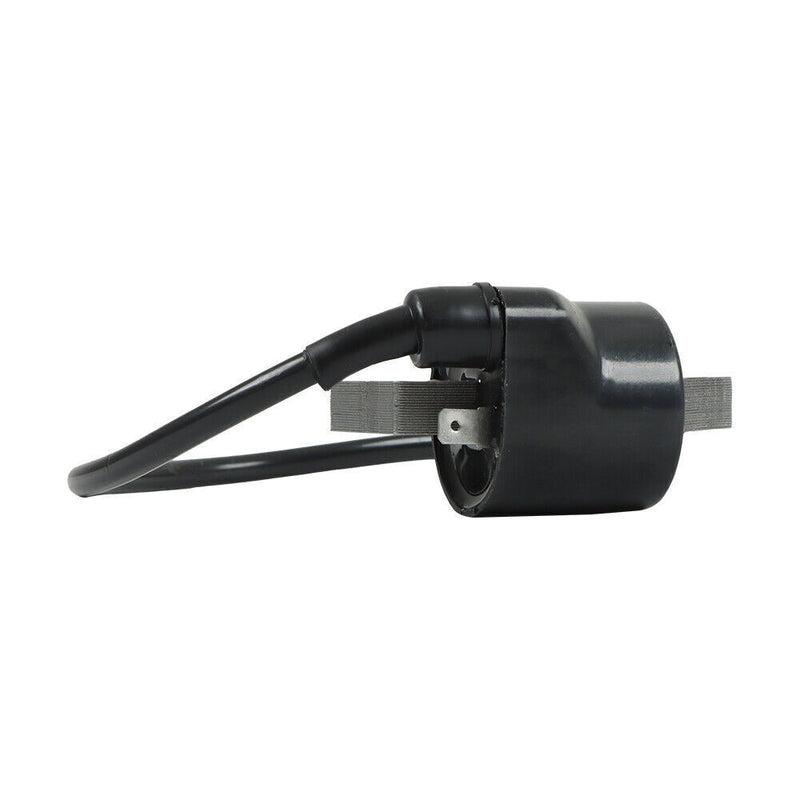 DURAFORCE Ignition Coil For Kawasaki Engine 21121-2070 21119-2161 AM109209 FC420V FC400V