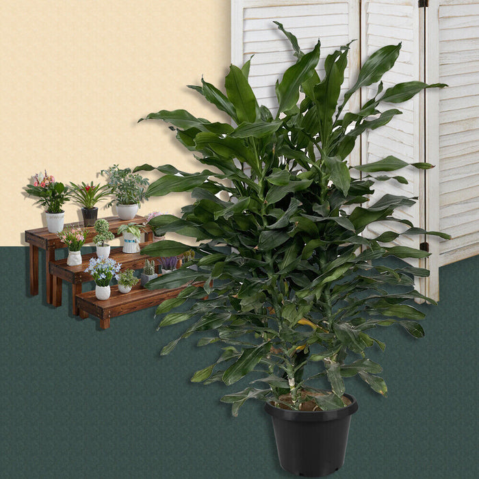 DURAFORCE 10 Pack 15 Gallon Plastic Nursery Pots Heavy Duty Garden Plant Nutrition Pots