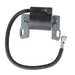 DURAFORCE 2Pcs Ignition Coil Fits For Briggs & Stratton 543477 446777 446877 592846 691060