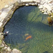 DURAFORCE 10Ft x 13Ft HDPE Fish Liner Pond Liners For Waterfall Koi Pondsand Water Garden