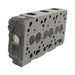 DURAFORCE 1G065-03043 Cylinder Head Fit For Kubota D1105 Engine Tarctor 2400HST-D B26