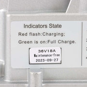 DURAFORCE 1996-2009 18 AMP 36 Volt Golf Carts Battery Charger For E-Z-GO TXT D-Style Plug
