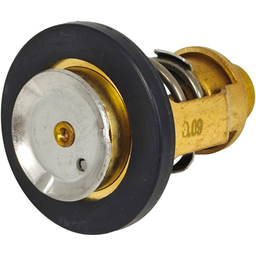 DURAFORCE 60℃ 140°F Thermostat 17670-90J20 for Suzuki DF300 DF80 DF90 DF100 DF115 DF140
