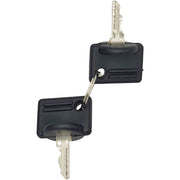 DURAFORCE Key Switch Fit for Massey Ferguson Tractor TE20 TEA20 TO20 TO30 TO35 35 40 50 65