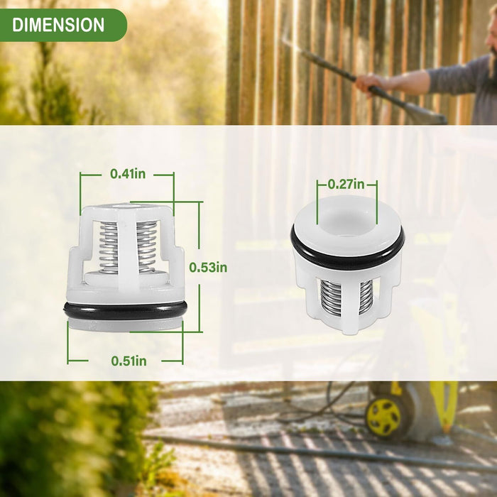 DURAFORCE 6pcs AR2233 Check Valve Kit for Annovi Reverberi RMV RMW Pressure Washer Pumps