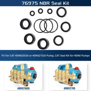 DURAFORCE 76975 Cat Pump Seal Kit for for 4DNX Pumps Model Replace 4DNX25GSI 4DNX27GSI