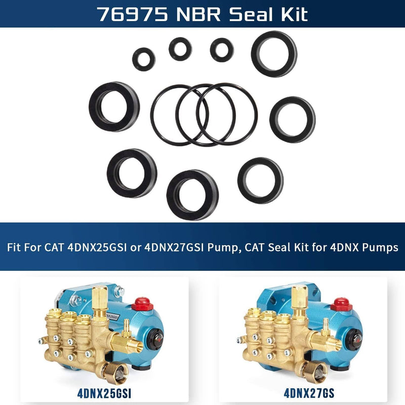 DURAFORCE 76975 Cat Pump Seal Kit for for 4DNX Pumps Model Replace 4DNX25GSI 4DNX27GSI
