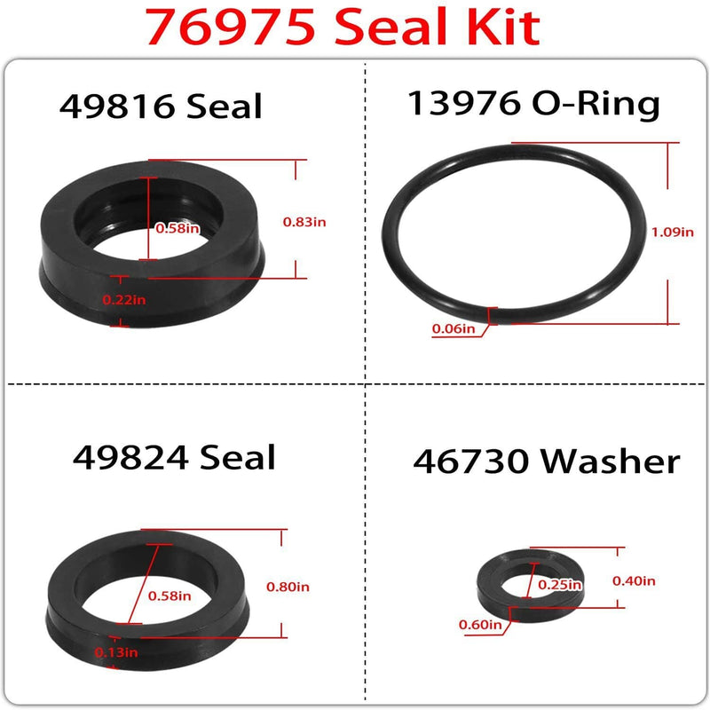 DURAFORCE 76975 Cat Pump Seal Kit for for 4DNX Pumps Model Replace 4DNX25GSI 4DNX27GSI