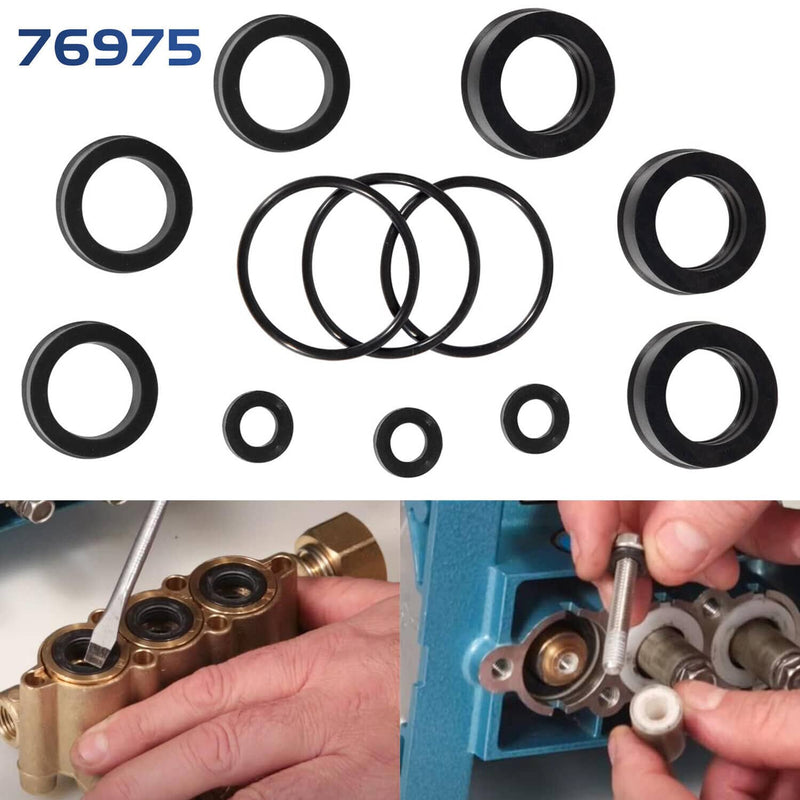 DURAFORCE 76975 Cat Pump Seal Kit for for 4DNX Pumps Model Replace 4DNX25GSI 4DNX27GSI