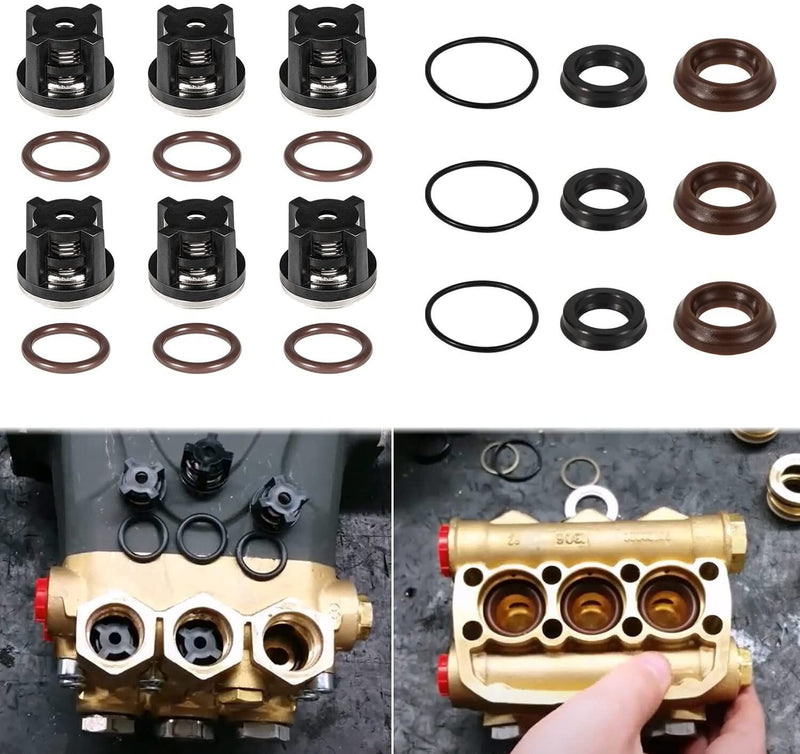 DURAFORCE AR1828 Check Valve Kit & AR1857 Pressure Washer Packing Kit for Annovi Reverberi