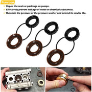 DURAFORCE AR1828 Check Valve Kit & AR1857 Pressure Washer Packing Kit for Annovi Reverberi