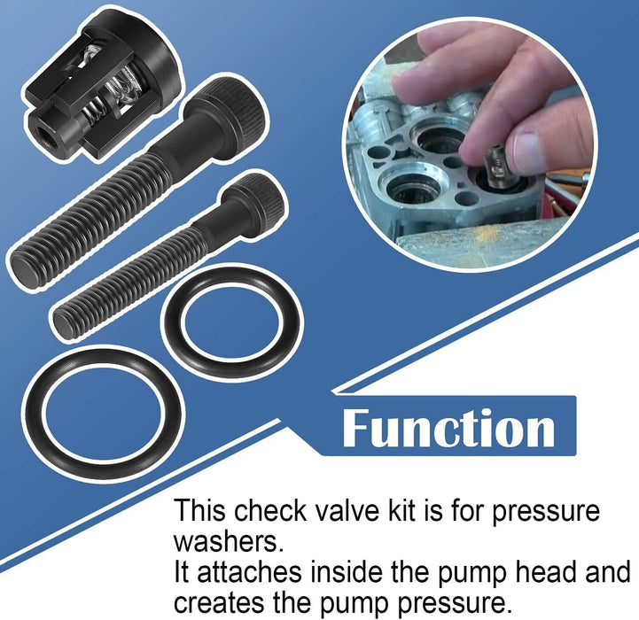 DURAFORCE 190591GS Pressure Washer Pump Valve Check Kit for Briggs & Stratton, Snapper