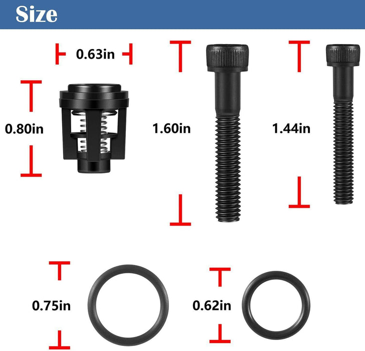 DURAFORCE 190591GS Pressure Washer Pump Valve Check Kit for Briggs & Stratton, Snapper