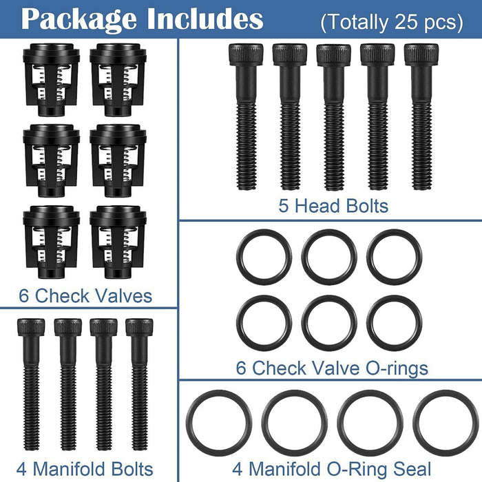 DURAFORCE 190591GS Pressure Washer Pump Valve Check Kit for Briggs & Stratton, Snapper