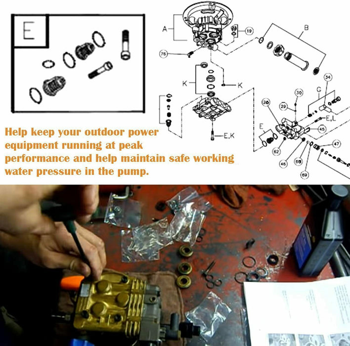 DURAFORCE 190591GS Pressure Washer Pump Valve Check Kit for Briggs & Stratton, Snapper
