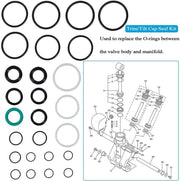 DURAFORCE 115225FS Seal Kit Trim/Tilt Cap +Trim/Tilt Pin Wrench MT0006 & MT0009 for Yamaha