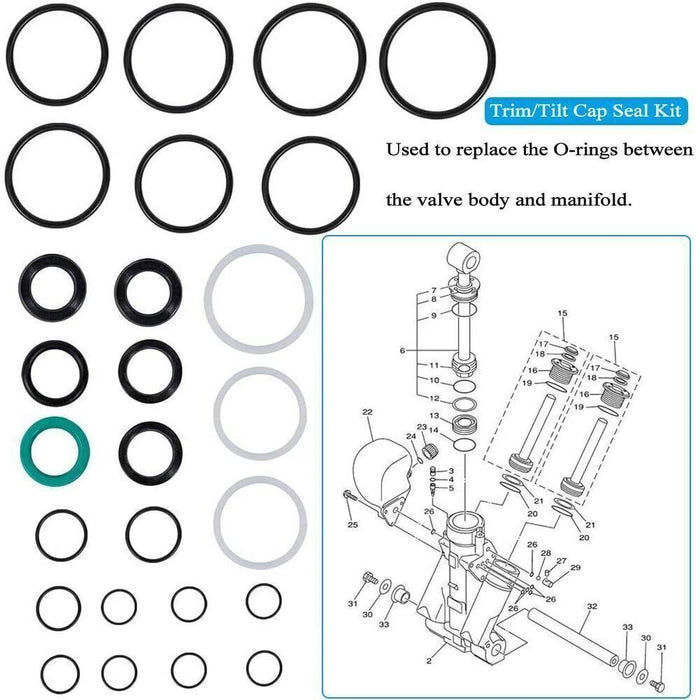 DURAFORCE 115225FS Seal Kit Trim/Tilt Cap +Trim/Tilt Pin Wrench MT0006 & MT0009 for Yamaha