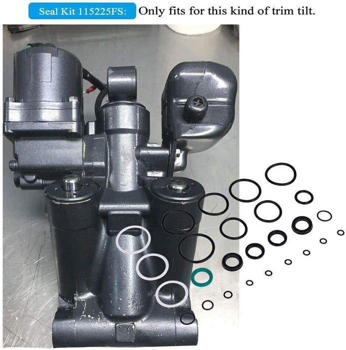 DURAFORCE 115225FS Seal Kit Trim/Tilt Cap +Trim/Tilt Pin Wrench MT0006 & MT0009 for Yamaha