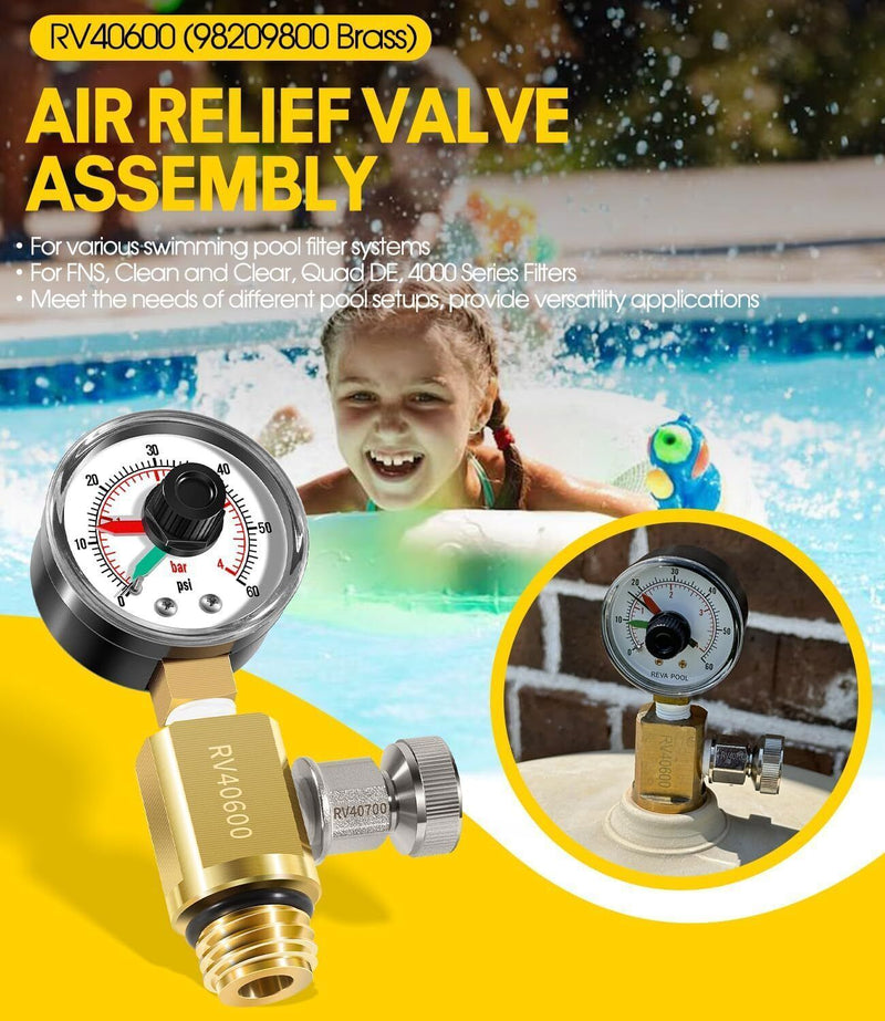 DURAFORCE for Pentair RV40600 98209800 Brass AIR RELIEF VALVE GAUGE FNS Plus Clean & Clear