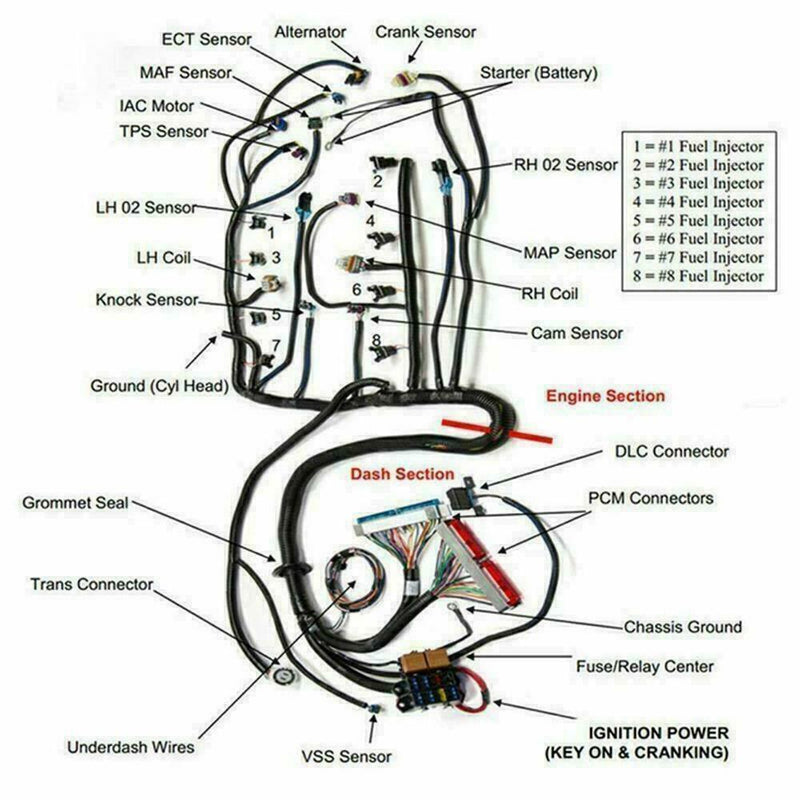 DURAFORCE DBC For 97-06 Standalone Wire Harness w/4L80E 4.8L 5.3 6.0 LS LS1 SWAP VORTEC US