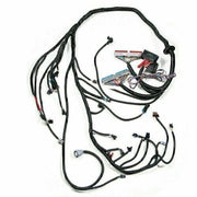 DURAFORCE DBC Standalone Wiring Harness 4.8 5.3 6.0 Fits 1997-2006 LS1 Engine w/ 4L60E USA