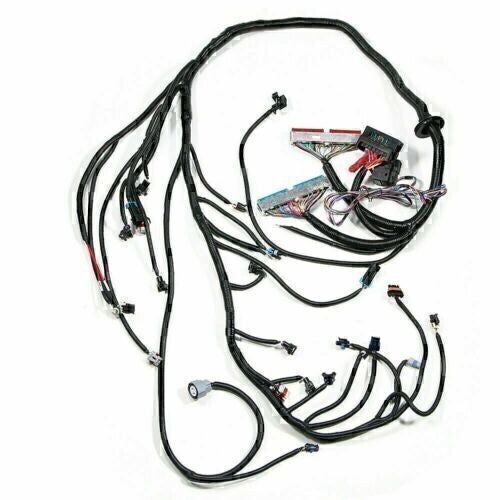 DURAFORCE DBC Standalone Wiring Harness 4.8 5.3 6.0 Fits 1997-2006 LS1 Engine w/ 4L60E USA