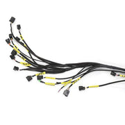 DURAFORCE K20 K24 K Series Tucked Engine Charge Harness For Civic RSX Si K-Swap Integra EK