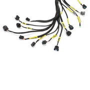 DURAFORCE K20 K24 K Series Tucked Engine Charge Harness For Civic RSX Si K-Swap Integra EK