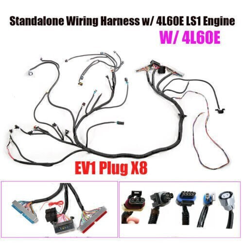 DURAFORCE FOR 97-06 LS1 Engine w/4L60E DBC Standalone Wiring Harness4.8 5.3 6.0 Direct-Fit