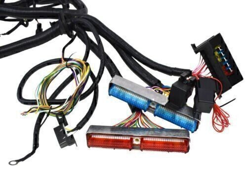 DURAFORCE FOR 97-06 LS1 Engine w/4L60E DBC Standalone Wiring Harness4.8 5.3 6.0 Direct-Fit