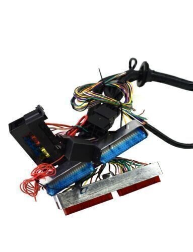 DURAFORCE FOR 97-06 LS1 Engine w/4L60E DBC Standalone Wiring Harness4.8 5.3 6.0 Direct-Fit