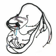DURAFORCE FOR 97-06 LS1 Engine w/4L60E DBC Standalone Wiring Harness4.8 5.3 6.0 Direct-Fit