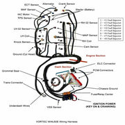 DURAFORCE FOR 97-06 LS1 Engine w/4L60E DBC Standalone Wiring Harness4.8 5.3 6.0 Direct-Fit