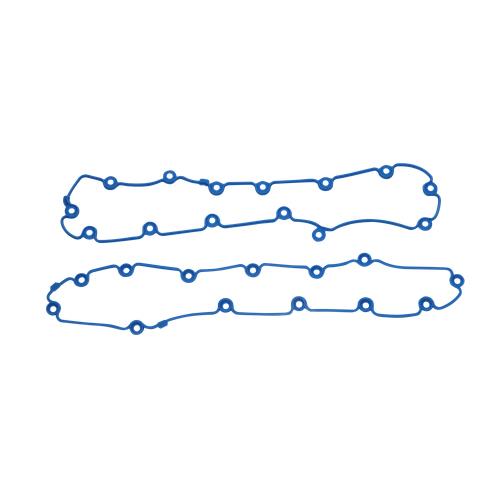 DURAFORCE Engine Valve Cover Gasket Fits Ford F-150 1997-2003 4.6L 5.4L V8 F6AZ6584DA