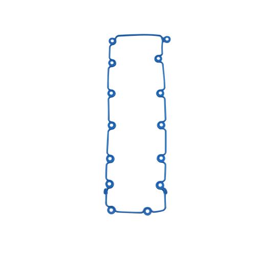 DURAFORCE Engine Valve Cover Gasket Fits Ford F-150 1997-2003 4.6L 5.4L V8 F6AZ6584DA