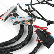 DURAFORCE LS1 STANDALONE WIRING HARNESS T56 or Non-Electric Tran 4.8,5.3,6.0 1997-2006 DBC