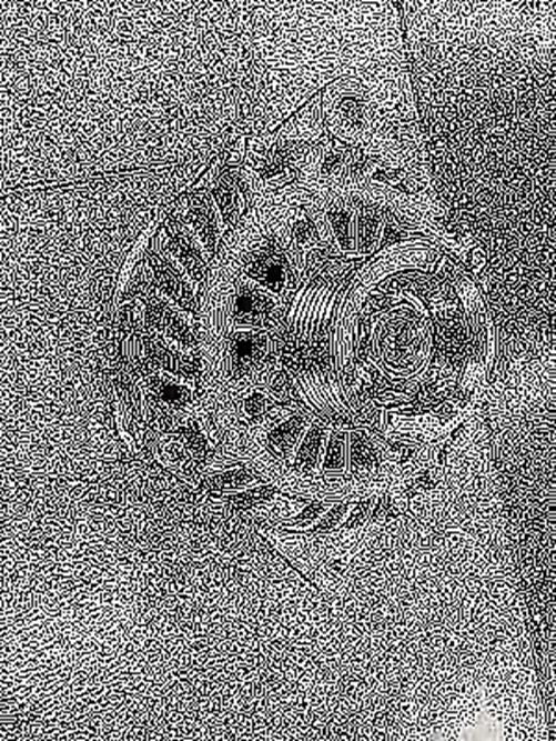 DURAFORCE Alternator For 3.5 3.5L Nissan Altiam 07-13 Maxima 09-13 Murano 09 10-12 Quest