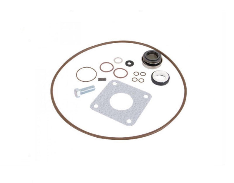 DURAFORCE Banjo Viton Seal Kit Fits 222 Cast Iron Pumps 15999V