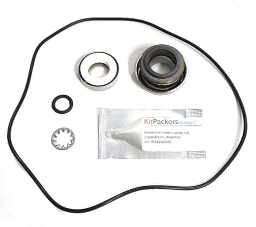 DURAFORCE Ace Repair Kit with Silicon Carbide Seal For FMC-150 Pumps (Check Description)