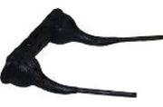 DURAFORCE Double Rake Tooth 5.25" Tine x 1.845" Coil x 4.5" Tine Gap w/ 0.281" Wire 2117RH