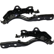 DURAFORCE Pair Set of 2 Hood Hinges Driver & Passenger Side Left Right for Hyundai Sonata